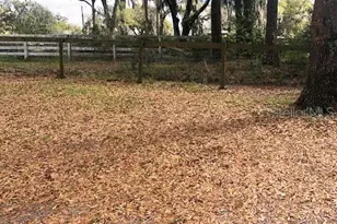 9620 SW 24th Ave, Ocala, FL 34476 - Photo 14