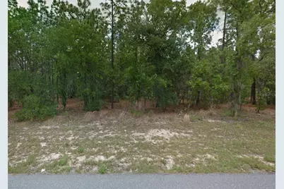 1449 W Omaha Place, Citrus Springs, FL 34434 - Photo 1