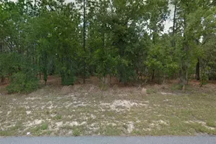 1449 W Omaha Pl, Citrus Springs, FL 34434 - Photo 1