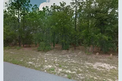 1449 W Omaha Place, Citrus Springs, FL 34434 - Photo 2