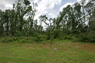 00 SW Doe Rd, Mayo, FL 32066 - Photo 1