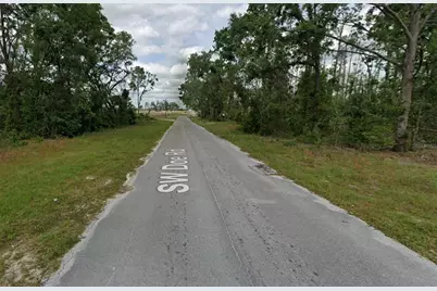 00 SW Doe Road, Mayo, FL 32066 - Photo 4