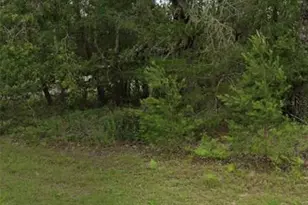 Tbd 55th Ct Rd, Ocala, FL 34473 - Photo 1