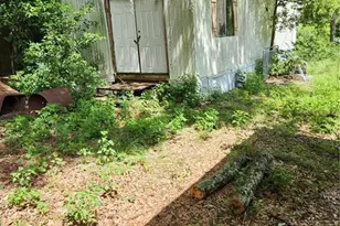 9228 NE Jacksonville Rd, Anthony, FL 32617 - Photo 6