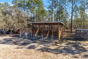 8855 SW 129th Terrace Rd, Dunnellon, FL 34432 - Photo 62