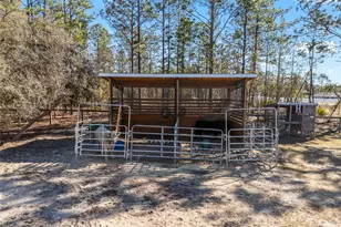8855 SW 129th Terrace Rd, Dunnellon, FL 34432 - Photo 60
