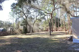 18664 SE 21st Pl, Silver Springs, FL 34488 - Photo 6