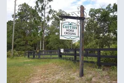 4976 W Yearling Drive, Beverly Hills, FL 34465 - Photo 16