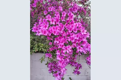 9520 N Holyoak Terrace, Dunnellon, FL 34433 - Photo 84