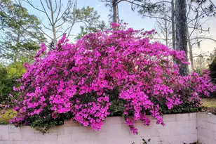 9520 N Holyoak Terrace, Dunnellon, FL 34433 - Photo 6