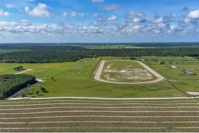 Ne 120 Avenue, Williston, FL 32696 - Photo 14