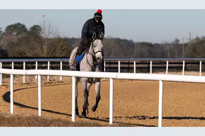 Ne 120 Avenue, Williston, FL 32696 - Photo 4