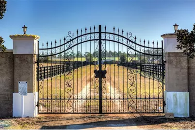 Ne 120 Avenue, Williston, FL 32696 - Photo 6