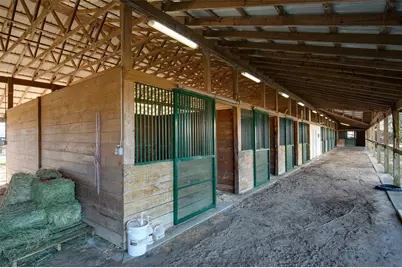 Ne 120 Avenue, Williston, FL 32696 - Photo 8