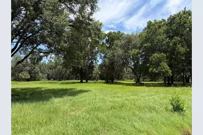 Tbd NW 329, Reddick, FL 32686 - Photo 2
