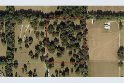 Tbd NW 328, Reddick, FL 32686 - Photo 2