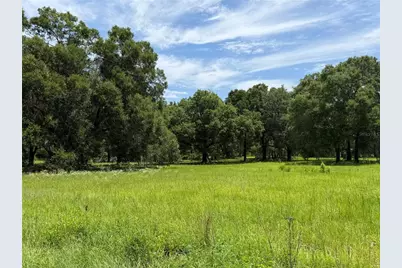 Tbd NW 329, Reddick, FL 32686 - Photo 4