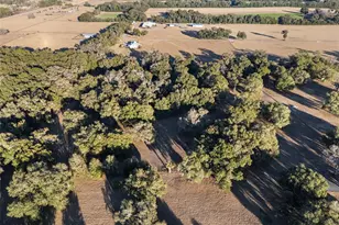 Tbd NW 328, Reddick, FL 32686 - Photo 1