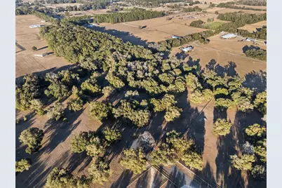 Tbd NW 328, Reddick, FL 32686 - Photo 4