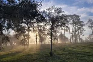 7150 SE 147 Ave, Morriston, FL 32668 - Photo 24