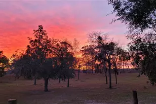 7150 SE 147 Ave, Morriston, FL 32668 - Photo 50