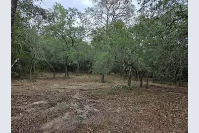 21531 SE 68th Lane, Morriston, FL 32668 - Photo 6