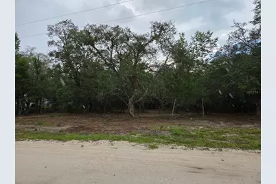 21531 SE 68th Lane, Morriston, FL 32668 - Photo 1