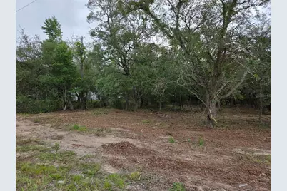 21531 SE 68th Lane, Morriston, FL 32668 - Photo 2
