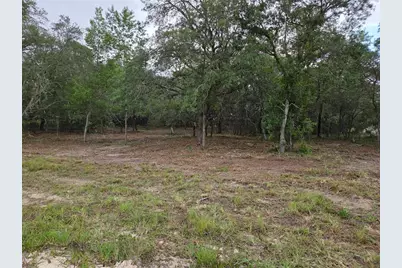 21531 SE 68th Lane, Morriston, FL 32668 - Photo 4