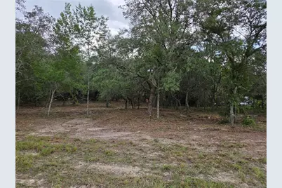 21531 SE 68th Lane, Morriston, FL 32668 - Photo 8