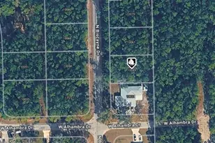 10049 N Biscayne Dr, Citrus Springs, FL 34434 - Photo 1