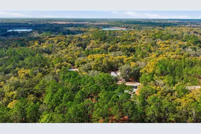 115 Chapel Lane, Hawthorne, FL 32640 - Photo 42