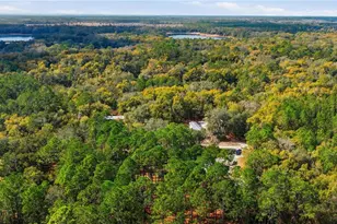 115 Chapel Ln, Hawthorne, FL 32640 - Photo 42