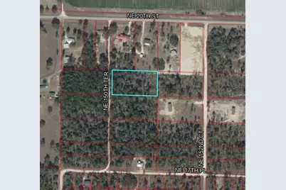 Tbd NE 150th Terrace, Williston, FL 32696 - Photo 4