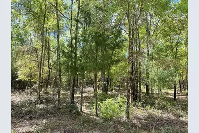 10350 NE 74th Place, Bronson, FL 32621 - Photo 10