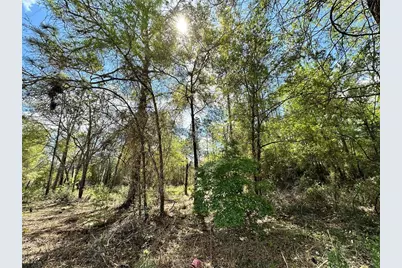 10350 NE 74th Place, Bronson, FL 32621 - Photo 6