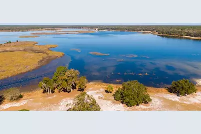 25020 NE 132nd Street, Fort Mc Coy, FL 32134 - Photo 64