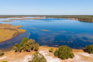 25020 NE 132nd St, Fort Mc Coy, FL 32134 - Photo 64