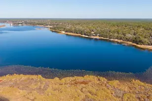 25020 NE 132nd St, Fort Mc Coy, FL 32134 - Photo 74