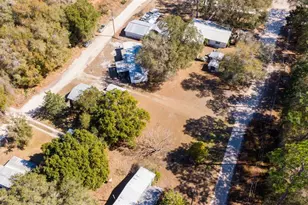 25020 NE 132 St, Salt Springs, FL 32134 - Photo 56