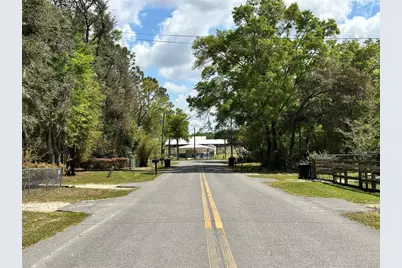 Tbd Hardee Street, Bronson, FL 32621 - Photo 4