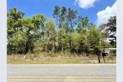 Tbd Hardee Street, Bronson, FL 32621 - Photo 1