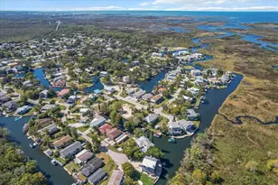 7305 Tropical Dr, Weeki Wachee, FL 34607 - Photo 62