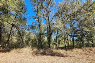 8585 N Alameda Dr, Citrus Springs, FL 34434 - Photo 1