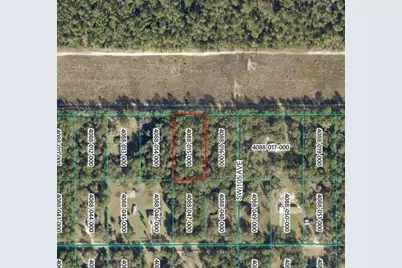 Tract 15 SW 150th Street, Dunnellon, FL 34433 - Photo 2