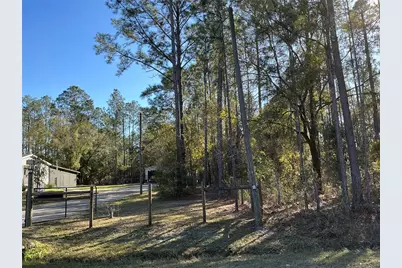 4345 Benedict Street, Hastings, FL 32145 - Photo 4