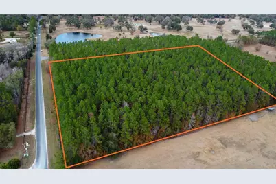 Nw 170th Street, Reddick, FL 32686 - Photo 6