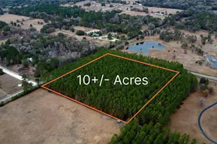 NW 170th St, Reddick, FL 32686 - Photo 1