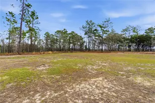 7551 SE 131st Ave, Morriston, FL 32668 - Photo 32