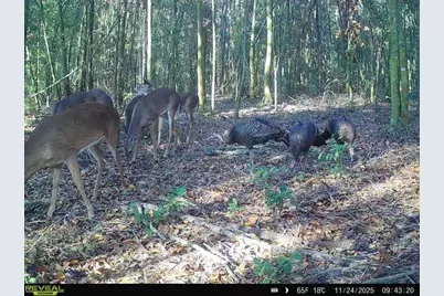 00 121st Rd, O'Brien, FL 32071 - Photo 32